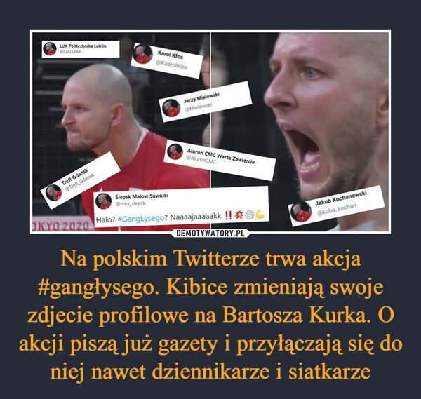 Na polskim Twitterze trwa akcja #gangłysego. Kibice zmieniają swoje zdjecie profilowe na Bartosza Kurka. O akcji piszą już gazety i przyłączają się do niej nawet dziennikarze i siatkarze –  
