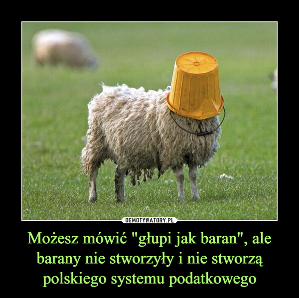 Możesz mówić "głupi jak baran", ale barany nie stworzyły i nie stworzą polskiego systemu podatkowego –  