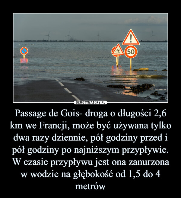 Passage de Gois- droga o długości 2,6 km we Francji, może być używana tylko dwa razy dziennie, pół godziny przed i pół godziny po najniższym przypływie. W czasie przypływu jest ona zanurzona w wodzie na głębokość od 1,5 do 4 metrów