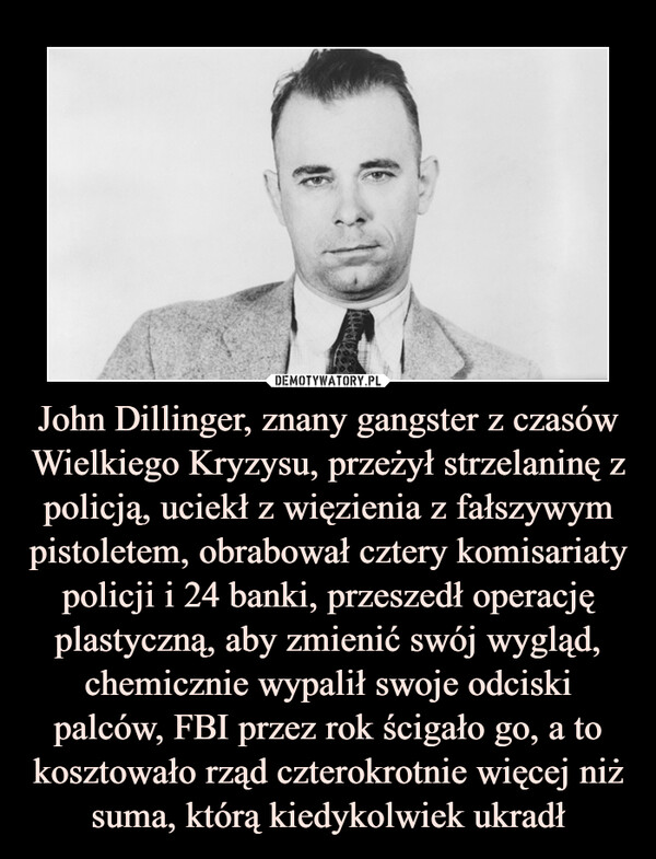 John Dillinger, znany gangster z czasów Wielkiego Kryzysu, przeżył strzelaninę z policją, uciekł z więzienia z fałszywym pistoletem, obrabował cztery komisariaty policji i 24 banki, przeszedł operację plastyczną, aby zmienić swój wygląd, chemicznie wypalił swoje odciski palców, FBI przez rok ścigało go, a to kosztowało rząd czterokrotnie więcej niż suma, którą kiedykolwiek ukradł –  