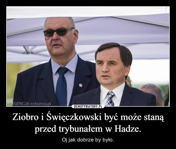 Ziobro i Święczkowski być może staną przed trybunałem w Hadze. – Oj jak dobrze by było. 