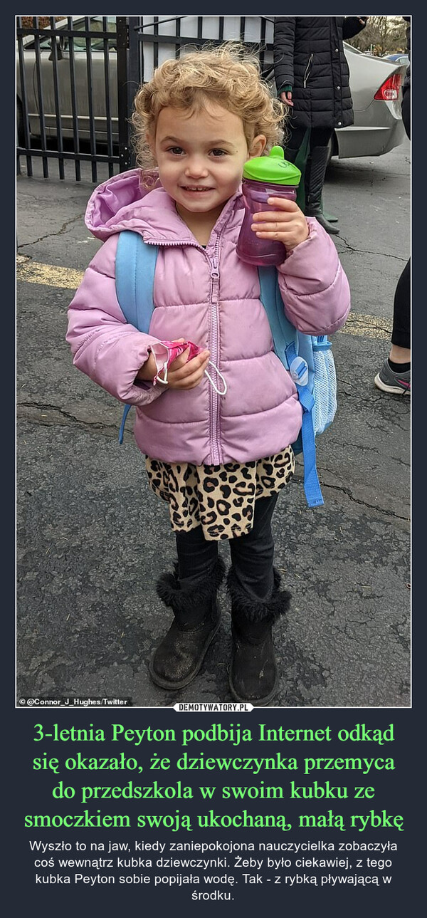 3-letnia Peyton podbija Internet odkąd się okazało, że dziewczynka przemyca do przedszkola w swoim kubku ze smoczkiem swoją ukochaną, małą rybkę