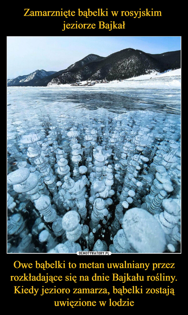 Owe bąbelki to metan uwalniany przez rozkładające się na dnie Bajkału rośliny. Kiedy jezioro zamarza, bąbelki zostają uwięzione w lodzie –  