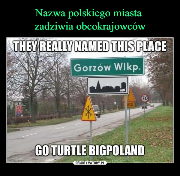 Nazwa polskiego miasta 
zadziwia obcokrajowców