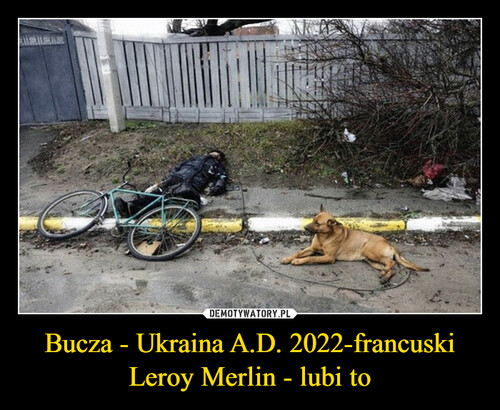 Bucza - Ukraina A.D. 2022-francuski Leroy Merlin - lubi to