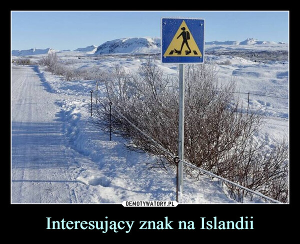 Interesujący znak na Islandii –  