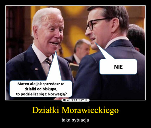 Działki Morawieckiego