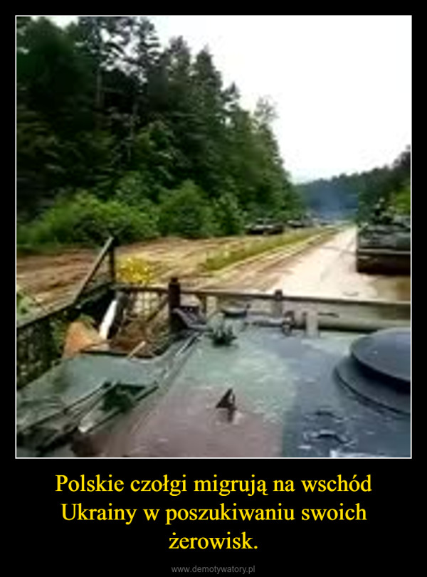Polskie czołgi migrują na wschód Ukrainy w poszukiwaniu swoich żerowisk. –  