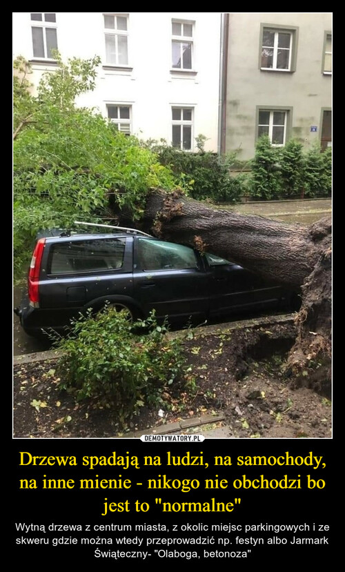 Drzewa spadają na ludzi, na samochody, na inne mienie - nikogo nie obchodzi bo jest to "normalne"