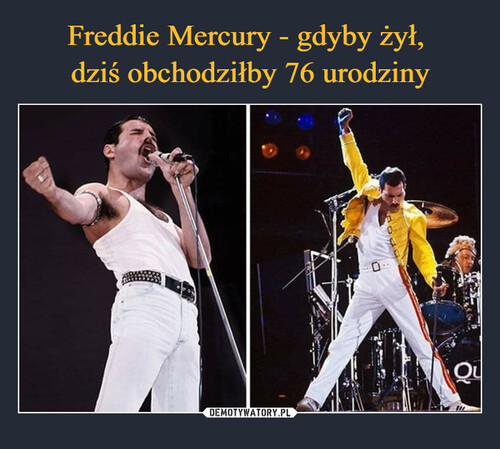 Freddie Mercury - gdyby żył, 
dziś obchodziłby 76 urodziny