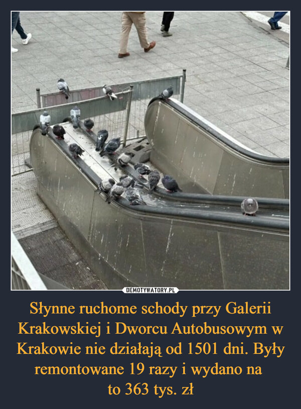 Słynne ruchome schody przy Galerii Krakowskiej i Dworcu Autobusowym w Krakowie nie działają od 1501 dni. Były remontowane 19 razy i wydano na to 363 tys. zł –  