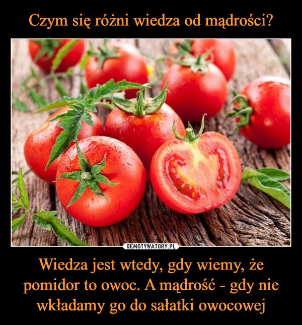 Wiedza jest wtedy, gdy wiemy, że pomidor to owoc. A mądrość - gdy nie wkładamy go do sałatki owocowej –  macieii - Superbojownik51Czym się różni wiedza od mądrości ? Wiedza jestwtedy, gdy wiemy, że pomidor to owoc. A mądrość- gdy nie wkładamy go do sałatki owocowej.