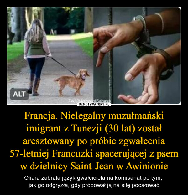 Francja. Nielegalny muzułmański imigrant z Tunezji (30 lat) został aresztowany po próbie zgwałcenia 57-letniej Francuzki spacerującej z psem w dzielnicy Saint-Jean w Awinionie