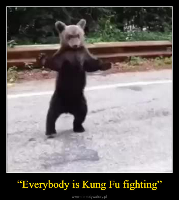 “Everybody is Kung Fu fighting” –  