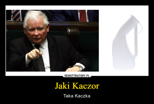 Jaki Kaczor – Taka Kaczka www.