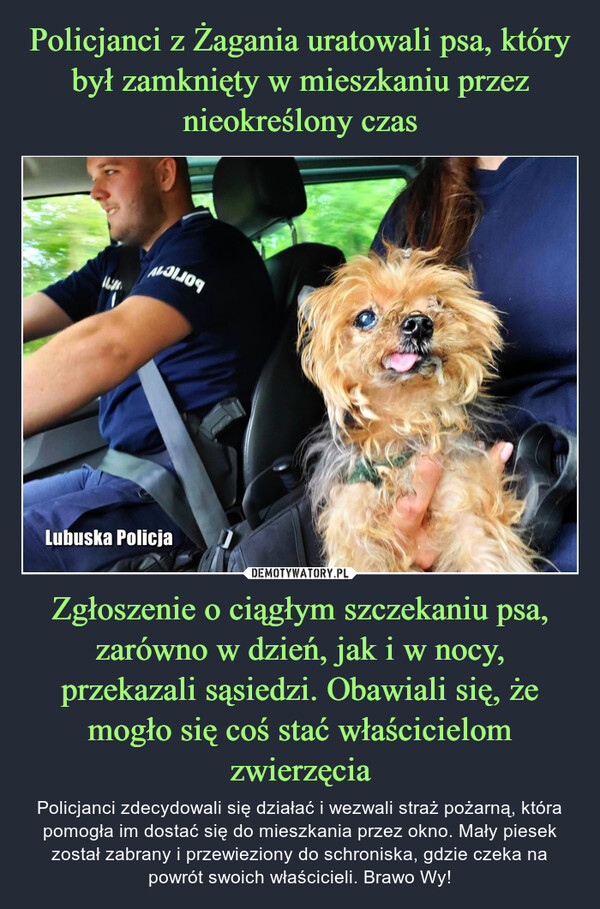 Policjanci z Żagania uratowali psa, który był zamknięty w mieszkaniu przez nieokreślony czas Zgłoszenie o ciągłym szczekaniu psa, zarówno w dzień, jak i w nocy, przekazali sąsiedzi. Obawiali się, że mogło się coś stać właścicielom zwierzęcia