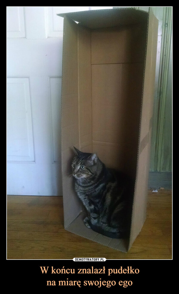 W końcu znalazł pudełko
na miarę swojego ego