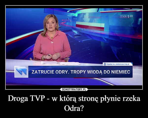 Droga TVP - w którą stronę płynie rzeka Odra? –  TVP HD15Oglądaj na: wiadomosci.tvp.plZATRUCIE ODRY. TROPY WIODĄ DO NIEMIEC