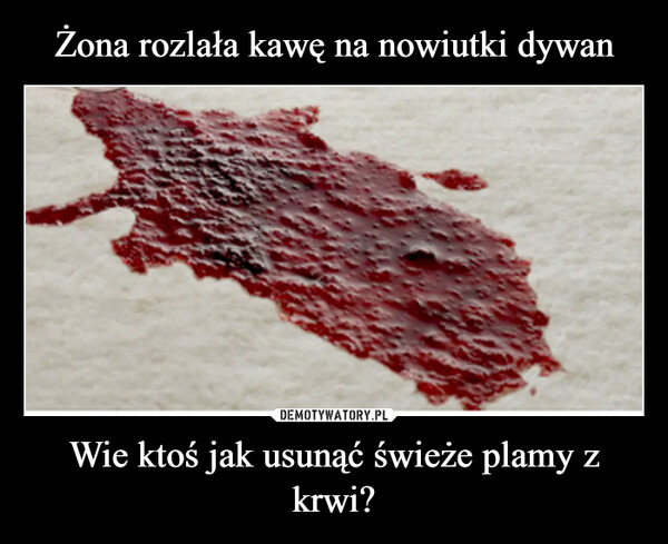 Wie ktoś jak usunąć świeże plamy z krwi? –  