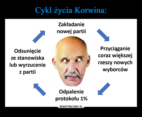 Cykl życia Korwina: