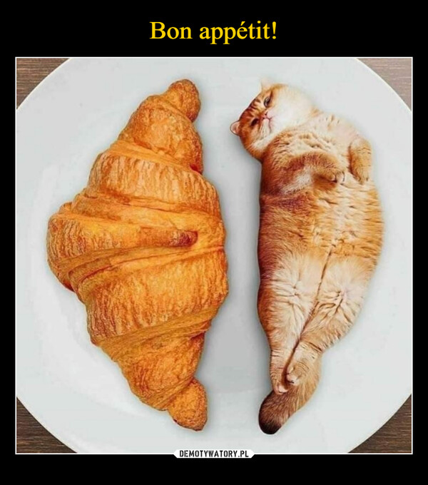Bon appétit!