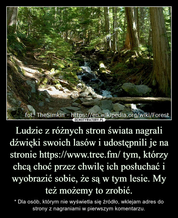 Ludzie z różnych stron świata nagrali dźwięki swoich lasów i udostępnili je na stronie https://www.tree.fm/ tym, którzy chcą choć przez chwilę ich posłuchać i wyobrazić sobie, że są w tym lesie. My też możemy to zrobić. – * Dla osób, którym nie wyświetla się źródło, wklejam adres do strony z nagraniami w pierwszym komentarzu. fot. TheSimkin - https://en.wikipedia.org/wiki/Forest