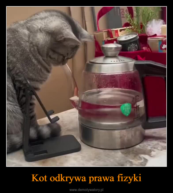 Kot odkrywa prawa fizyki –  
