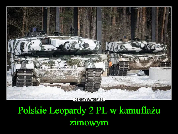Polskie Leopardy 2 PL w kamuflażu zimowym –  