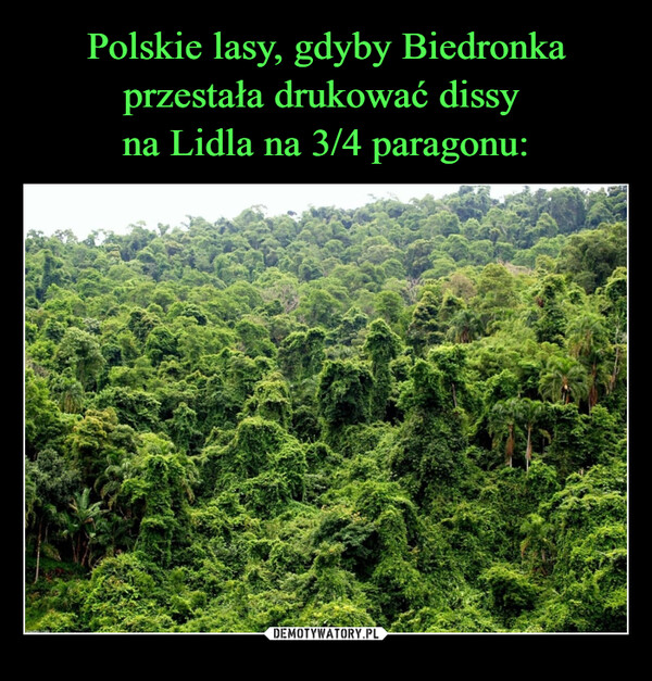 Polskie lasy, gdyby Biedronka przestała drukować dissy 
na Lidla na 3/4 paragonu: