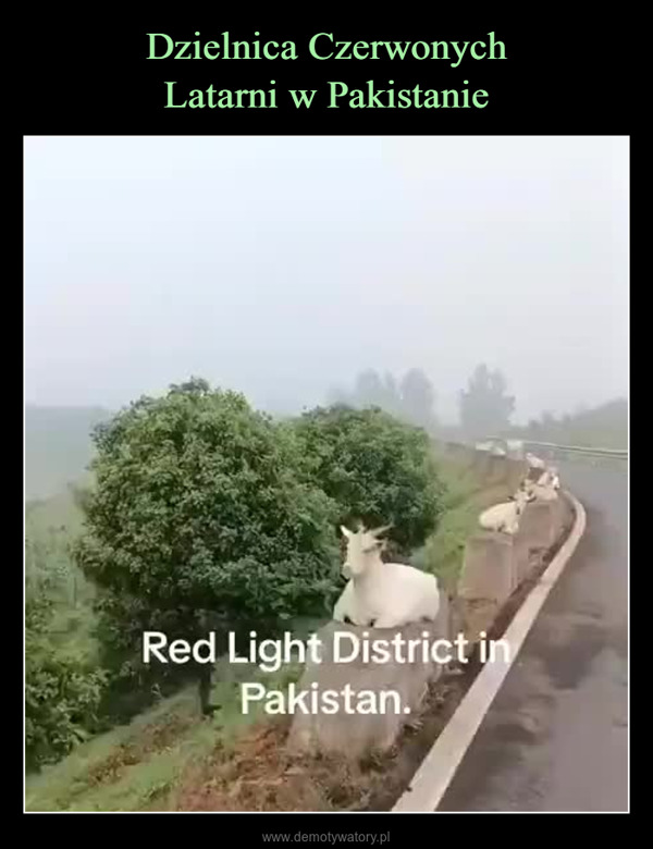  –  Red Light District inPakistan.