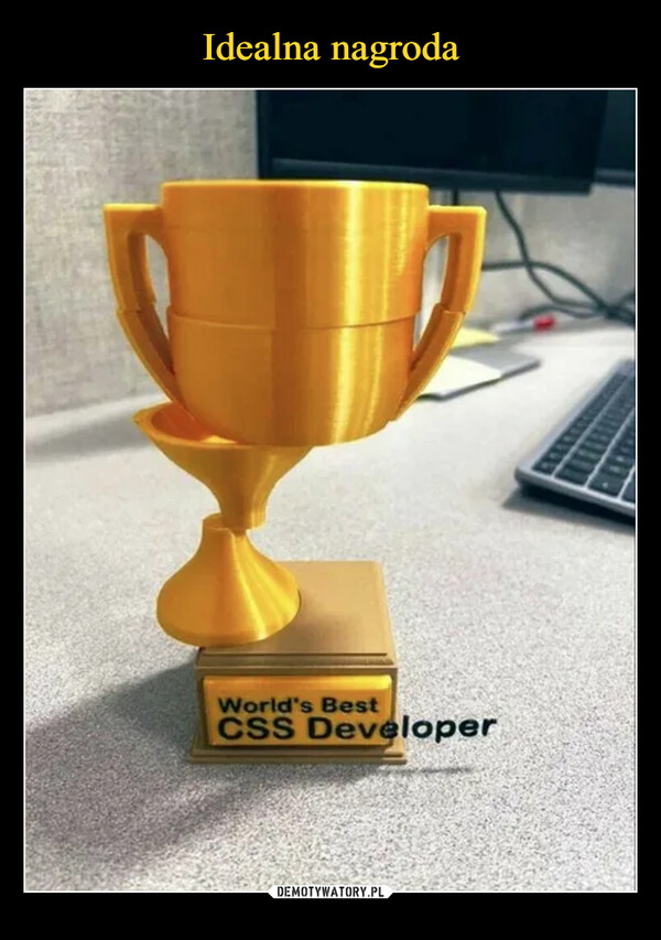  –  World's BestCSS Developer